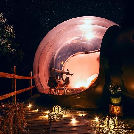 Bed and Breakfast Maso La Marianna Bubble Glamping In Trentino Sant'Orsola Екстер'єр фото